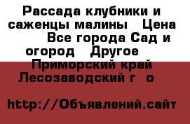 Рассада клубники и саженцы малины › Цена ­ 10 - Все города Сад и огород » Другое   . Приморский край,Лесозаводский г. о. 